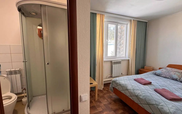 Кедр Золотой