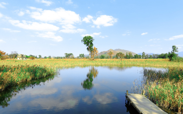 Hotel COZi ·Wetland