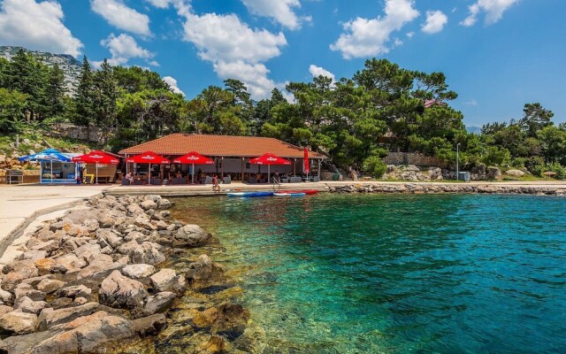 Delfin Cesarica in Cesarica