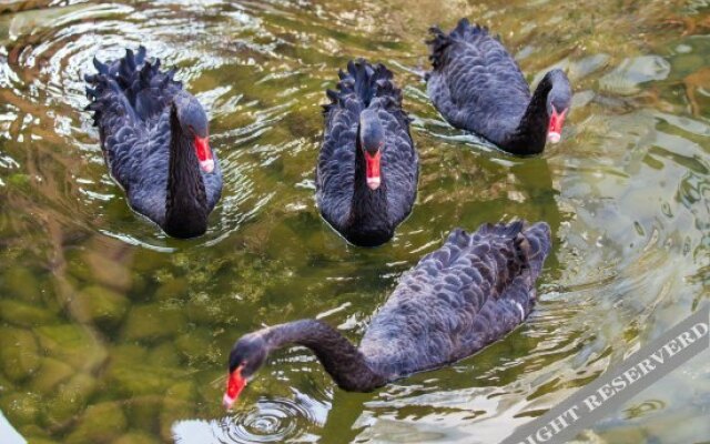 Xiyuanwan Enjoy The Scenery And Stroll Hotel