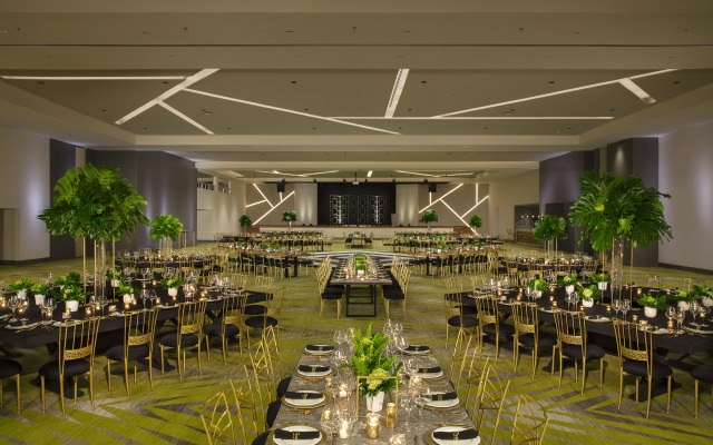 Dreams Natura Resort & Spa - All Inclusive