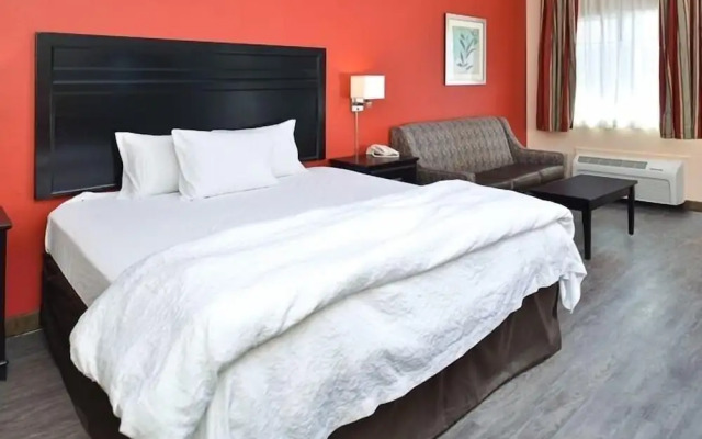 La Bonita Inn And Suites