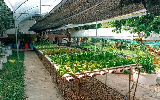 Silver Garden Resort