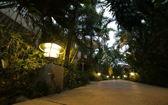 Negril Palms