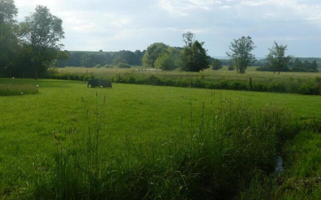 La Fleur et Le Soleil (F&S)