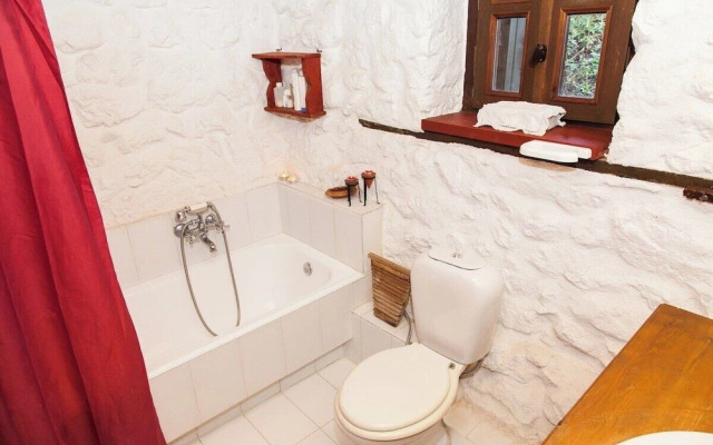 260m2 Unique Mountain House in Lilea Parnasos
