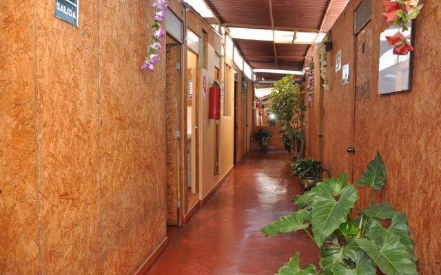 Hostal Vladis I
