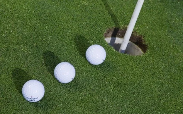 Ringhotel Schlossberg Neustadt