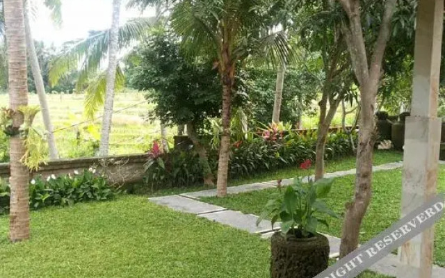 Shima House