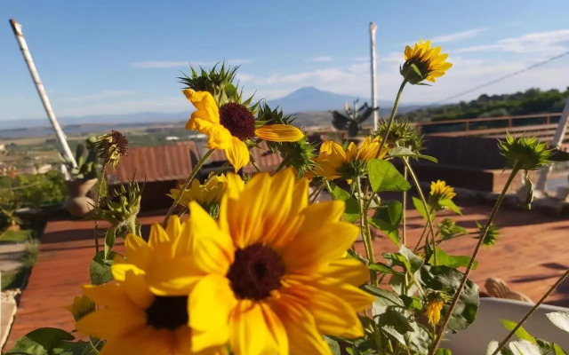 La Terrazza di Cirico'