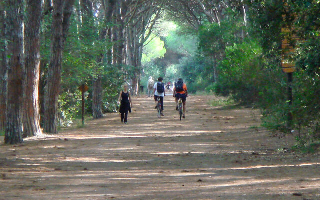 Cecina - Two Bedroom No.4