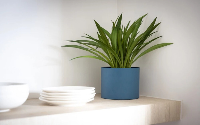 The Surry Apartments by Urban Rest