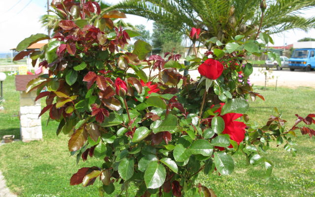 Sea View Apartment Hotel