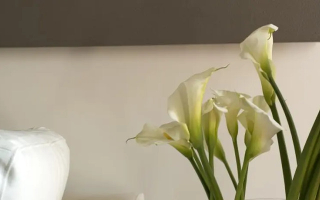 San Carlo Executive Apartment