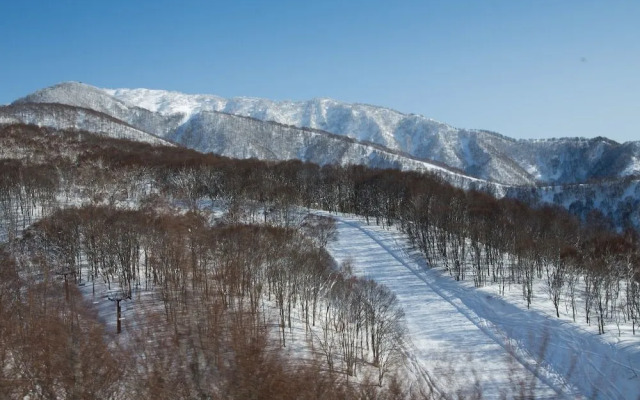 Tanuki Nozawa
