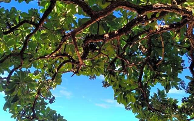 Fenu Kaji - Vacation STAY 63760v