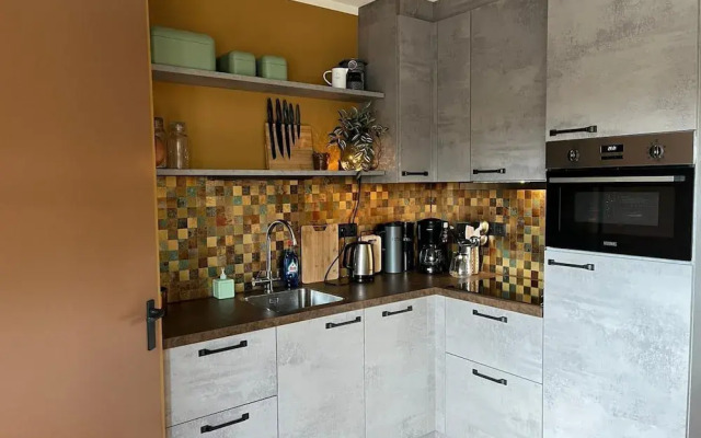 Spacious Apartment in Maartenszee Dune