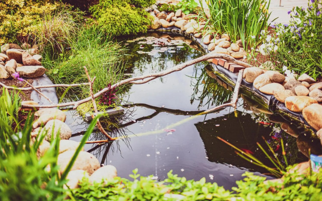 Relitto Boutique und Aparthotel Borkum