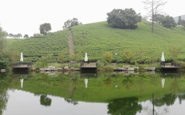 Best White Campsort Xilong Chagu Resort – Outside – Huzhou