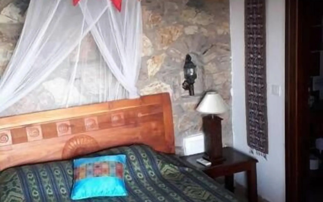 Lazy Lizard Boutique-Hotel