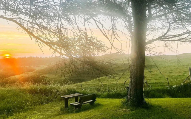 6 Person Holiday Home in Frostrup