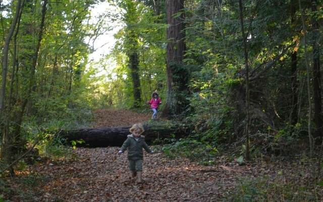 Kids Love Yurts