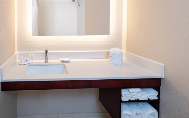 SpringHill Suites Houston Medical Center/NRG Park