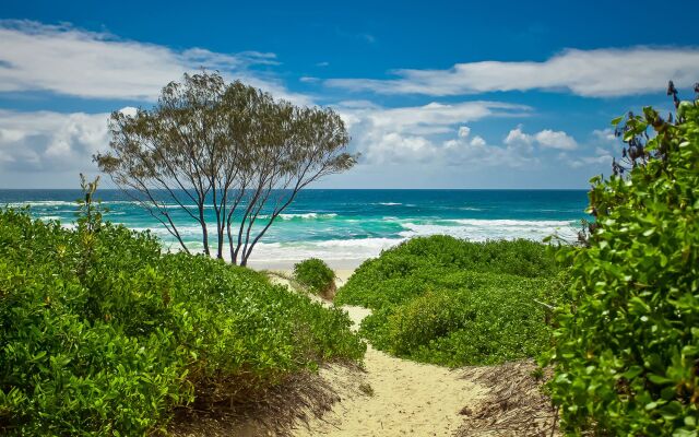 The Oasis Apartments and Treetop Houses