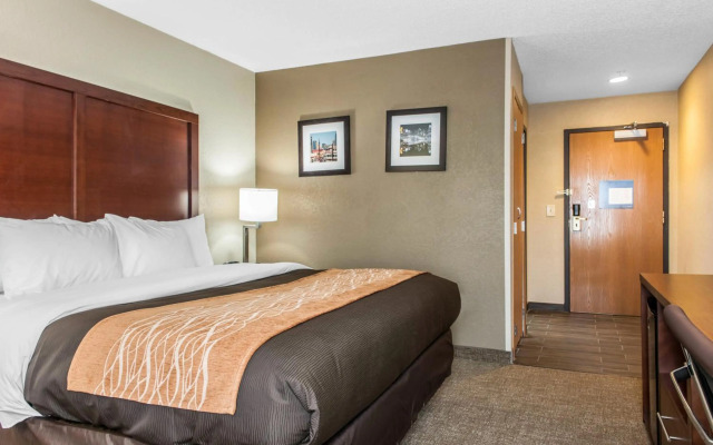 Comfort Inn Blue Ash North