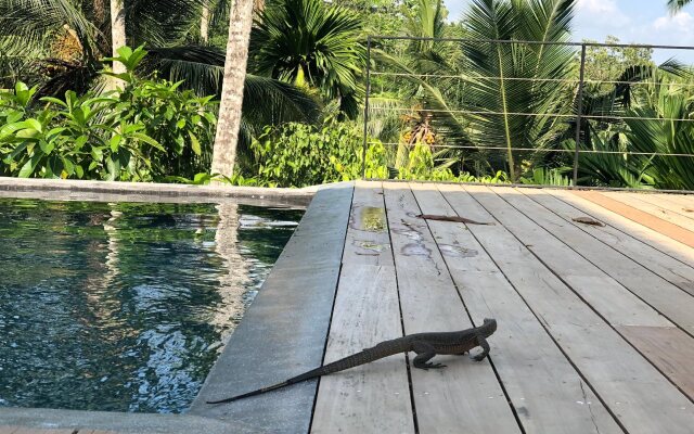 Good Vibes Villas Retreat And Restaurant