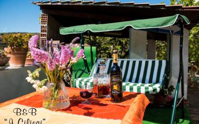 B&B I Ciliegi