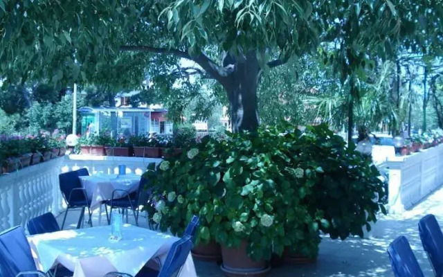 Guest House Podgorje