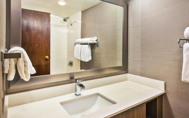 Holiday Inn Rapid City-Rushmore Plaza, an IHG Hotel