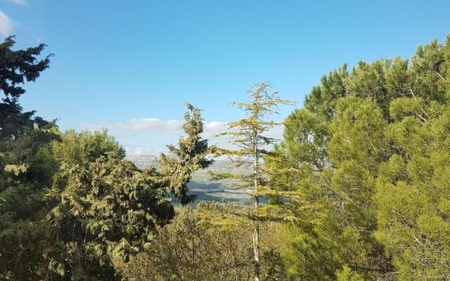 Al Bosco Ficuzza