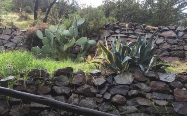 Cordillera de los Andes-Cajón del Maipo-Habitaciones en Casa Compartida con Anfitrión