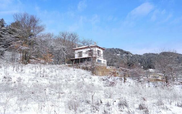 Torrhebia Dag Evi