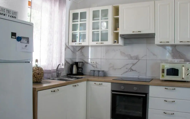 Authentic Dalmatian Treasure Homes