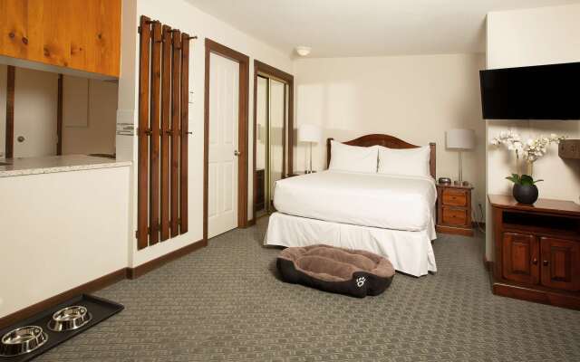 Blackcomb Springs Suites by CLIQUE