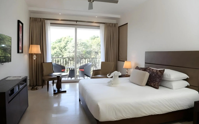 Treehouse The Palatium