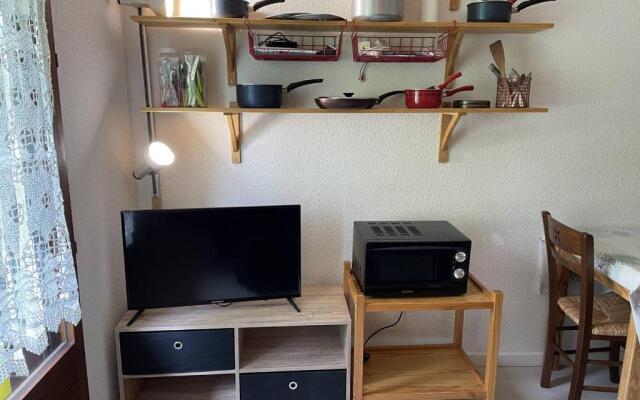 Appartement Puy-Saint-Vincent, 1 pièce, 4 personnes - FR-1-330G-45