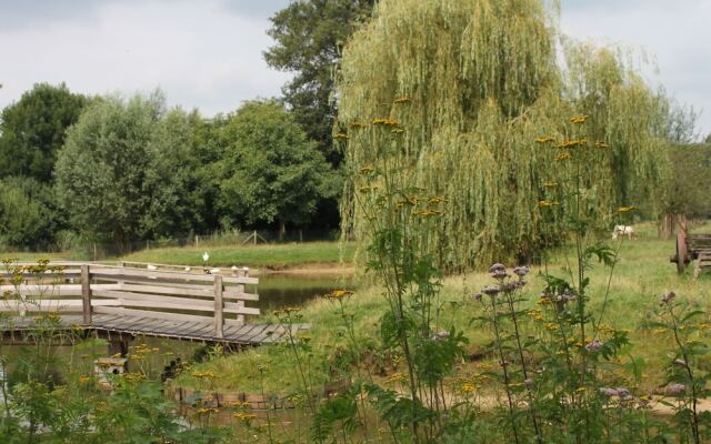 Cosy Farmhouse at Overijssel With a Trampoline