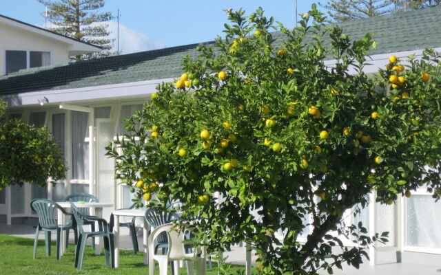 McLean Park Garden Motel