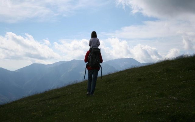 Chalet Zlatica Velika Planina