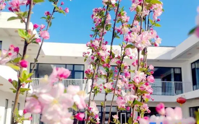 Yunshui Mountain Taiji Wellness Homestay