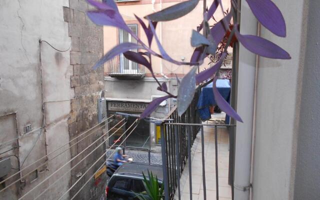 Robbys House Bed & Breakfast