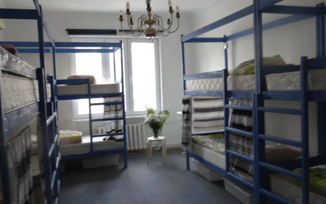 Goldfish Hostel — фото