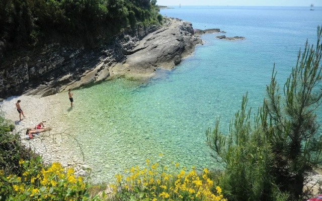 Room in Studio - Apartment Aniko Near the sea