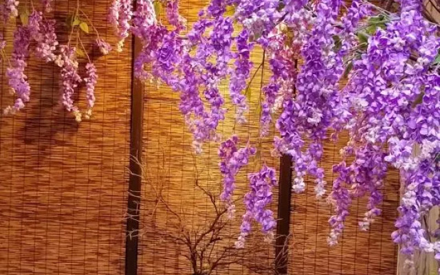 West Lake Time Su Guesthouse