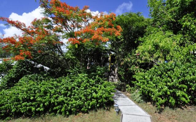 Virgin Islands Campground