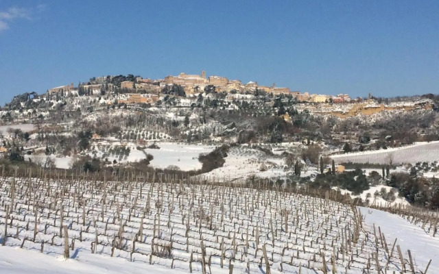 The Grapevine by MANVI